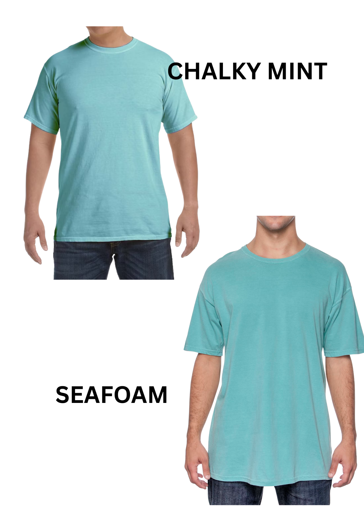 The Life Of A Showgirl Comfort Colors T-Shirt